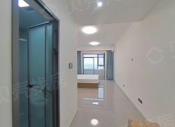 整租·启迪国际城仕家 1室1厅 东南/西南/西北/东北_启迪国际城仕家租房