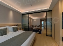 整租·新苏豪财富广场 1室1厅 东南_新苏豪财富广场租房