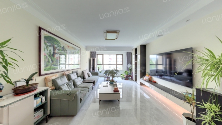 唐郡荷花园二手房实景图