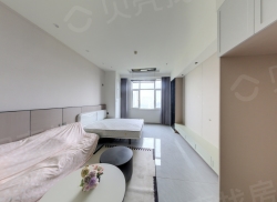 整租·嘉悦城 1室1厅 南_嘉悦城租房