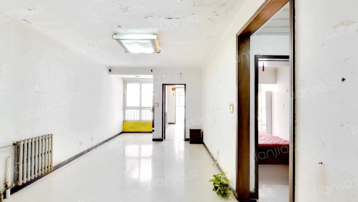 龙泉东区二手房实景图