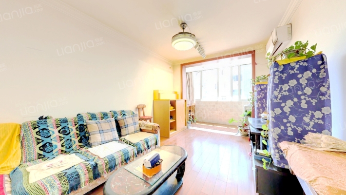 八一小区二手房实景图