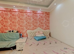 整租·紫金广场 1室1厅 南/西_紫金广场租房