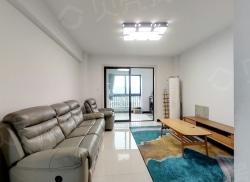 整租·新湖玫瑰园 3室2厅 南_新湖玫瑰园租房