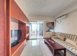 整租·新天地 1室1厅 北_新天地租房