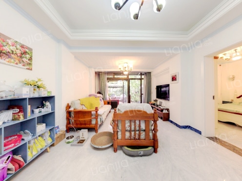 整租·街子印象 1室1厅 东南