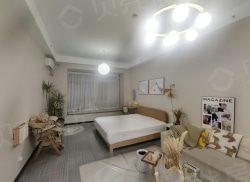 整租·星元·南岸花园西区 1室1厅 东北_星元·南岸花园西区租房