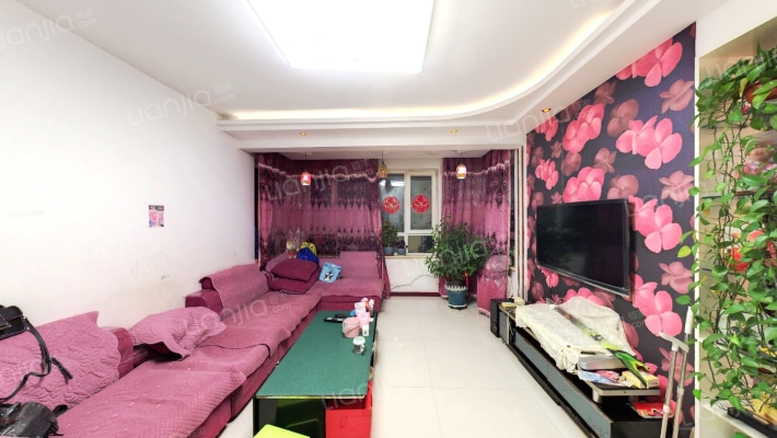 金鼎阳光苑二手房实景图