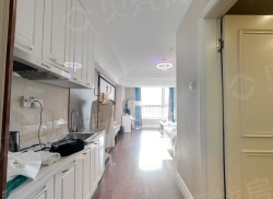 整租·万达广场 1室1厅 南/北_万达广场租房