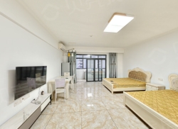 整租·海港城 1室1厅 北_海港城租房