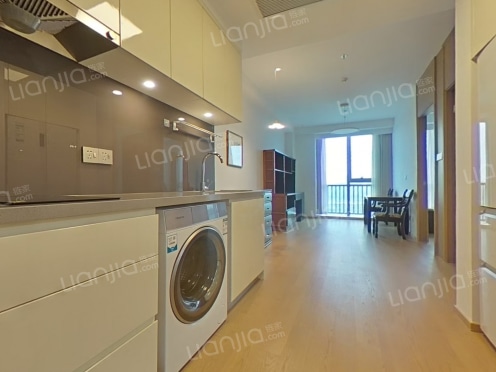 整租·中欧校友总部大厦红枫寓 1室1厅 南