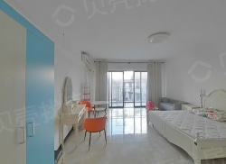 整租·大都汇 1室1厅 南_大都汇租房