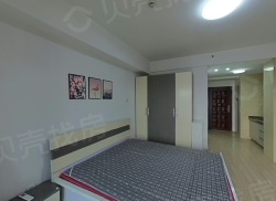 整租·绿地世纪城七期 1室1厅 南_绿地世纪城七期租房