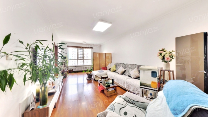 群力家园D区二手房实景图