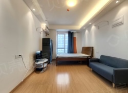 整租·龙湖奥东11号 1室1厅 北_龙湖奥东11号租房