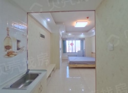 整租·武里山天街 1室1厅 东_武里山天街租房