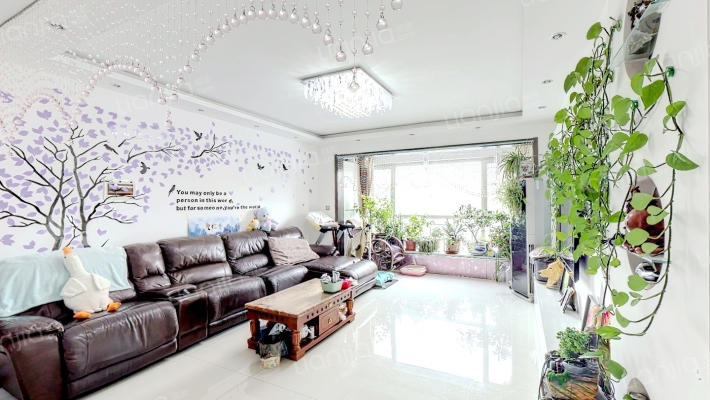 九洲湾景汇二手房实景图