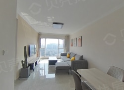 整租·普得先锋国际 3室1厅 南_普得先锋国际租房