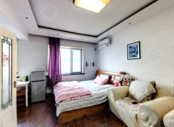 整租·双兴财富长街（大菜市商圈） 1室1厅 南_双兴财富长街（大菜市商圈）租房