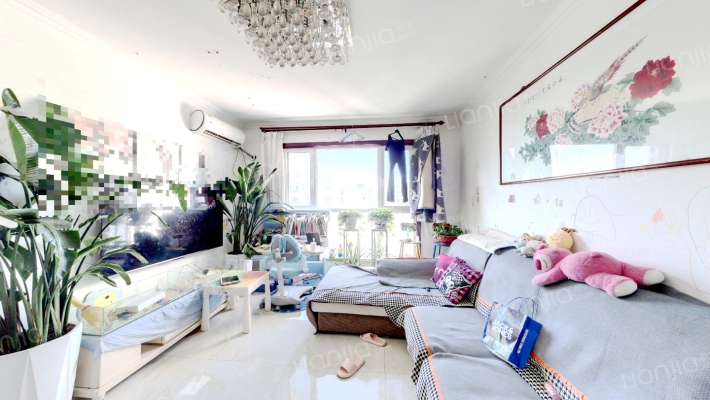 晓镇家园二手房实景图