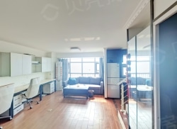 整租·乐梦中心 2室2厅 南_乐梦中心租房