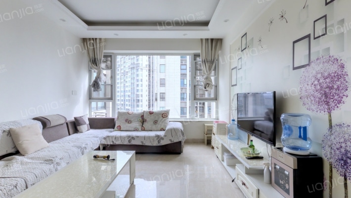 蓝润v客尚东一期二手房实景图