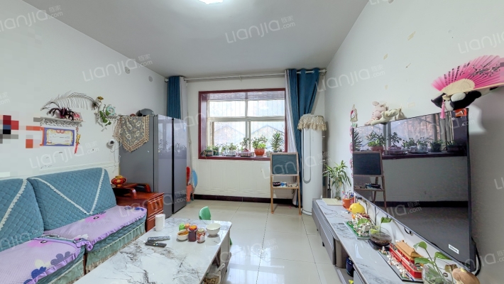 博士东园二手房实景图