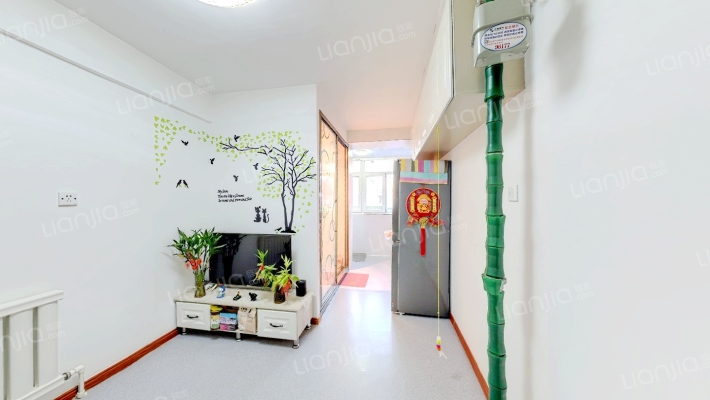建大一小区二手房实景图