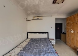 整租·金苑商厦 1室1厅 南_金苑商厦租房