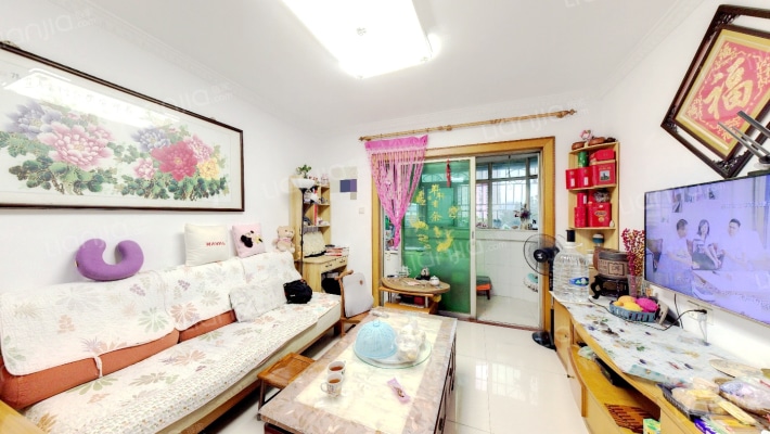 荔树人家二手房实景图