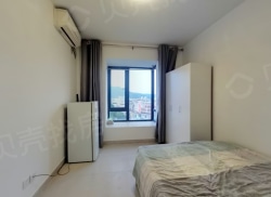 合租·国贸商城同悦 4居室 南卧_国贸商城同悦租房