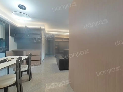 整租·星樾湖滨 4室2厅 南