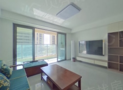 整租·湖境天著 3室2厅 南_湖境天著租房