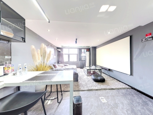 整租·星云汇生活广场 2室1厅 复式 南