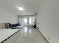 整租·八水御源 1室1厅 南_八水御源租房