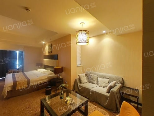 整租·雅戈尔YAKR公馆 1室1厅 南