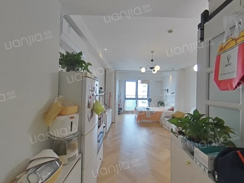 整租·中环酒店公寓 1室1厅 南