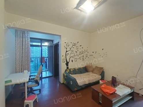 整租·金强大学城 1室1厅 东南