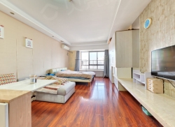 整租·白金湾 1室1厅 东_白金湾租房