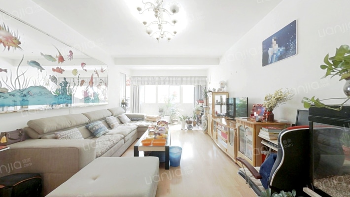 江大南路社区二手房实景图