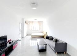 整租·向都·國際 1室1厅 南_向都·國際租房