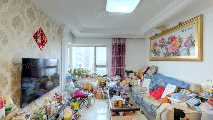 万科明日之光C区二手房实景图