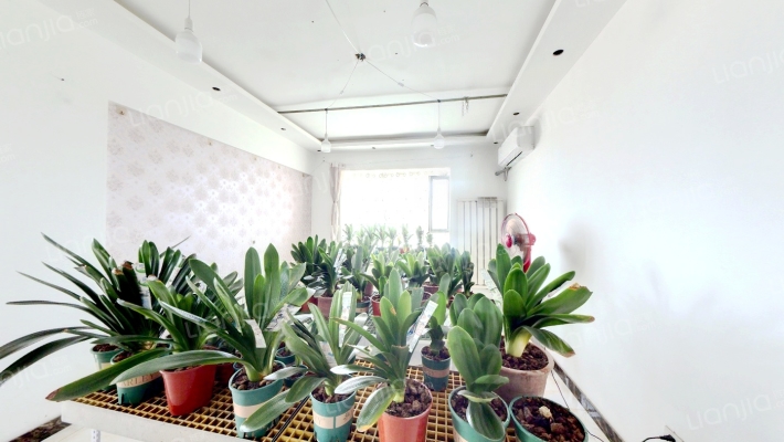 林景家园二手房实景图