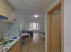 整租·绿地欢乐颂 1室1厅 南_绿地欢乐颂租房