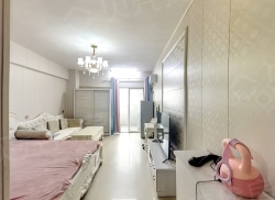 整租·奔达明珠 1室1厅 南/北_奔达明珠租房