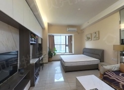 整租·恒大珺临阁 1室1厅 南_恒大珺临阁租房