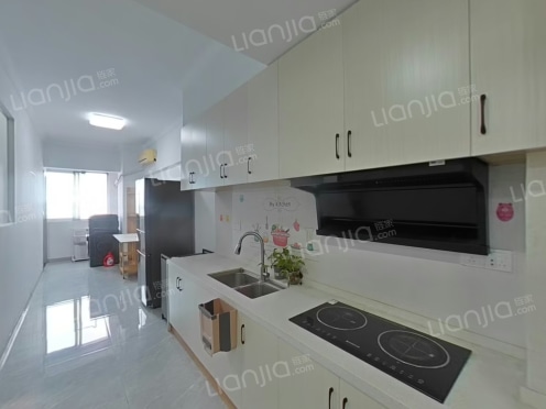 整租·甲壳虫公寓 2室1厅 南