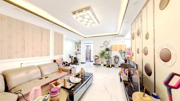 樟木头镇商业中心二手房实景图