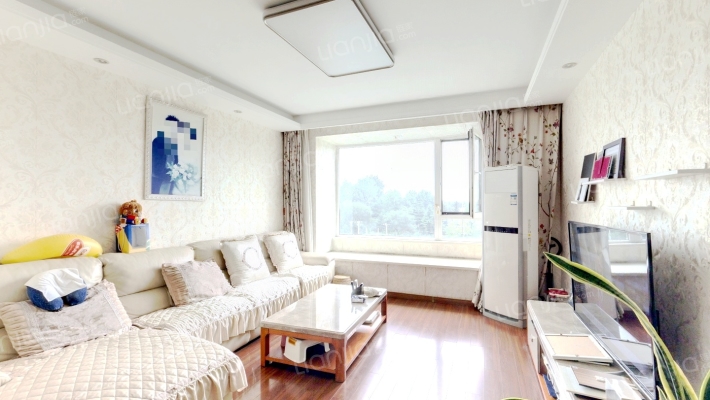 万科蓝山二手房实景图