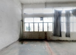 整租·珠信证券大厦 1室1厅 南_珠信证券大厦租房